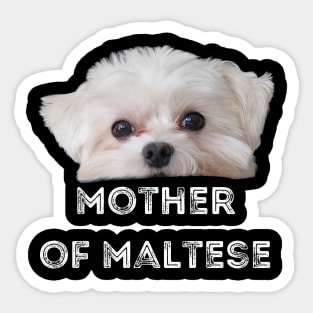 Mothers of Maltese T-Shirt a great gift for anyone who loves their maltese Sticker